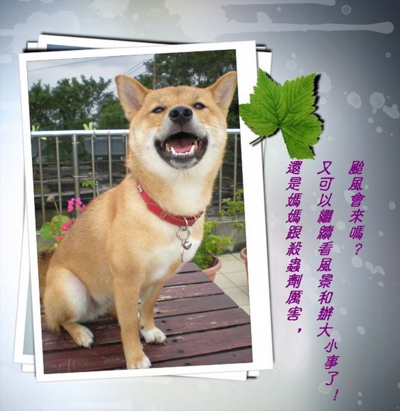 DSCN7031.jpg