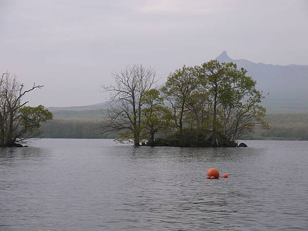 大沼公園的大沼湖景