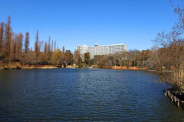 井之頭恩賜公園~三鷹之森美術館