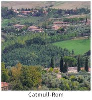 landscape_0.5_catmull-rom.jpg