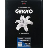 GEKKO Blue