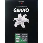 GEKKO Green