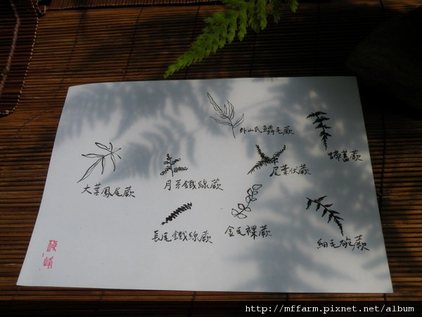 DSCN6511.JPG