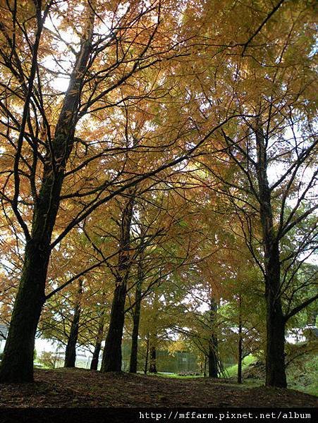 DSCN3806.JPG