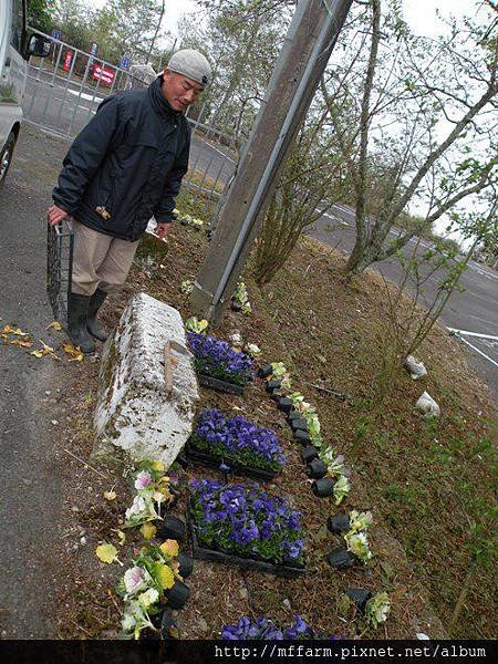 130315 翠峰路旁種植栽前 (1)