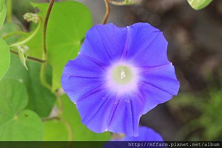 2014_06_27_7891-1.jpg
