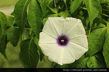 2014_07_02_8107-1-1.jpg