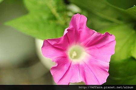 2014_07_03_8145-1-1.jpg