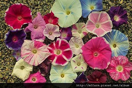 2014_07_03_8176-1-1.jpg