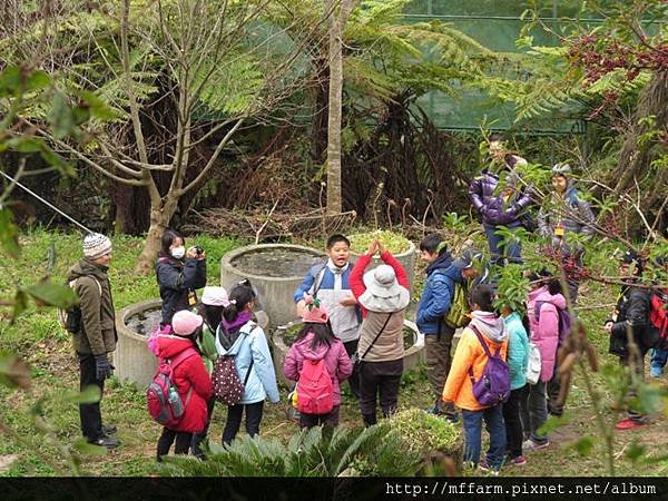 20150209春陽 詠婷與土城國中 水生植物拳 (5)