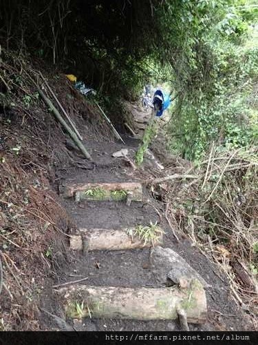 20160625暑假高冷地照片-梅峰(蘇怡韶)(肖) (31)