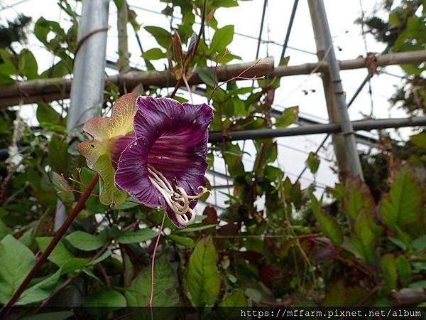 P1310039