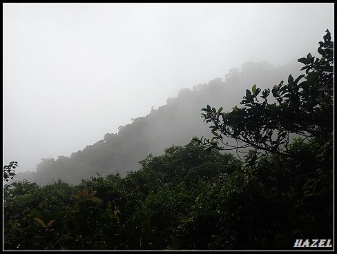 nEO_IMG_PA126076.jpg - 20221012跑馬古道望龍埤