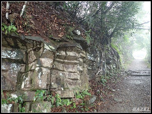 nEO_IMG_PA126089.jpg - 20221012跑馬古道望龍埤