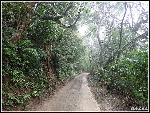 nEO_IMG_PA126100.jpg - 20221012跑馬古道望龍埤