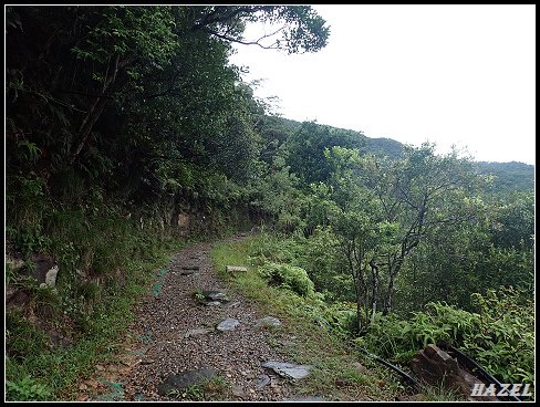 nEO_IMG_PA126140.jpg - 20221012跑馬古道望龍埤