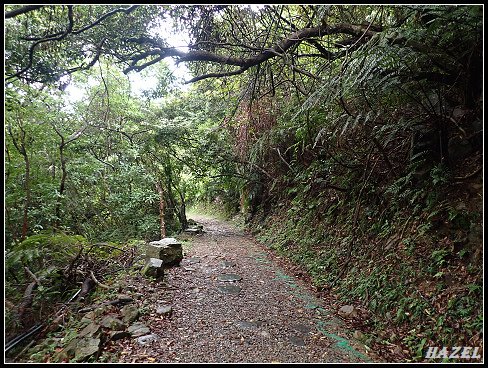 nEO_IMG_PA126147.jpg - 20221012跑馬古道望龍埤