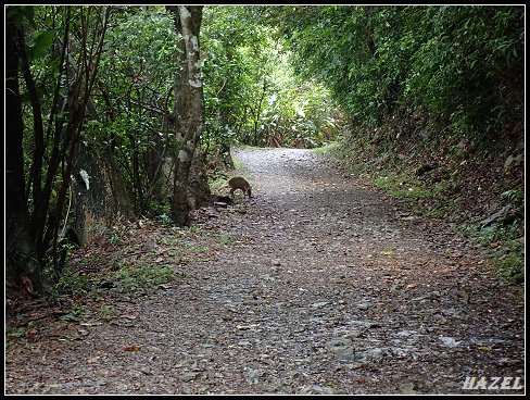 nEO_IMG_PA126168.jpg - 20221012跑馬古道望龍埤