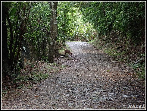 nEO_IMG_PA126170.jpg - 20221012跑馬古道望龍埤