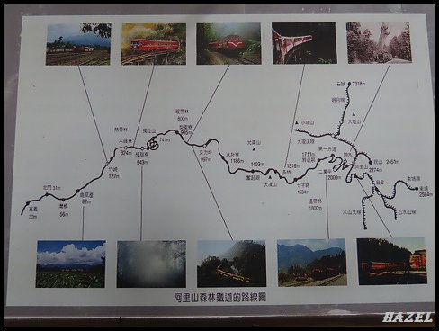 nEO_IMG_IMG_9504.jpg - 20200823阿里山