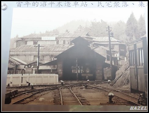 nEO_IMG_IMG_9512.jpg - 20200823阿里山
