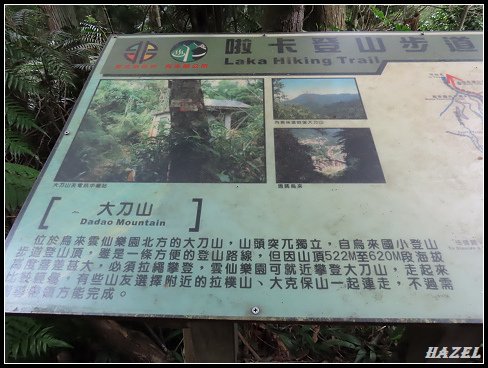nEO_IMG_IMG_5320.jpg - 20200629採馬告