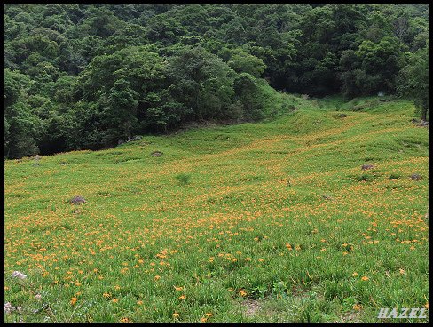 nEO_IMG_IMG_1451.jpg - 20190828赤柯山