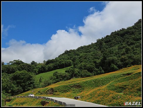 nEO_IMG_IMG_1463.jpg - 20190828赤柯山