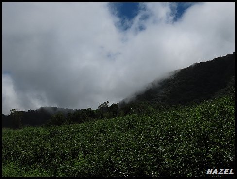 nEO_IMG_IMG_1477.jpg - 20190828赤柯山