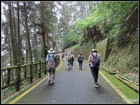 nEO_IMG_IMG_1213.jpg - 20190415藤枝