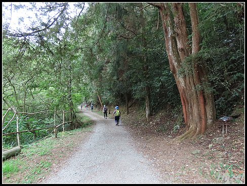 nEO_IMG_IMG_1241.jpg - 20190415藤枝