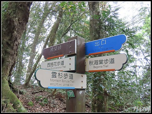 nEO_IMG_IMG_1315.jpg - 20190415藤枝