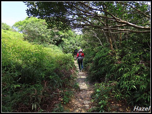 nEO_IMG_IMG_0345.jpg - 20190413南仁湖