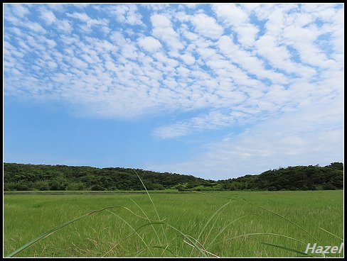 nEO_IMG_IMG_0376.jpg - 20190413南仁湖