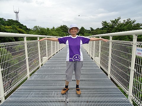 nEO_IMG_DSC04368.jpg - 20160909八卦山