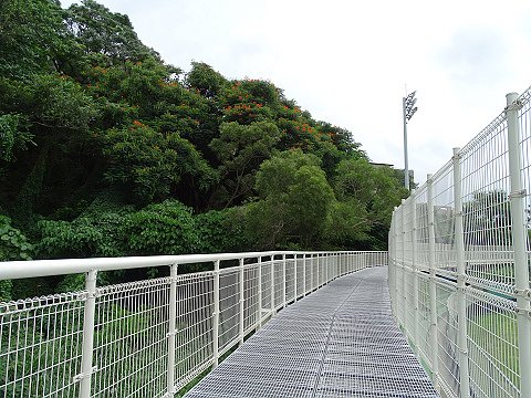 nEO_IMG_DSC04377.jpg - 20160909八卦山