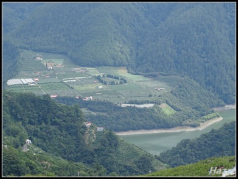 nEO_IMG_DSC03161.jpg - 20160809新佳陽