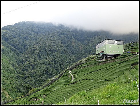 nEO_IMG_DSC03011.jpg - 20160808羅葉尾溪