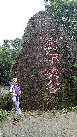 nEO_IMG_P8152873.jpg - 20160815萬年峽谷