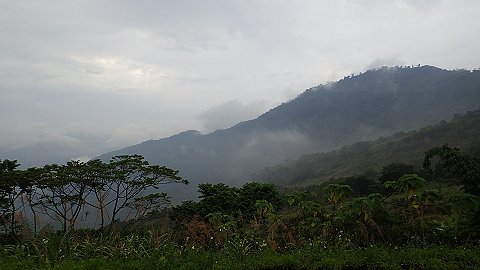 nEO_IMG_P8152938.jpg - 20160815萬年峽谷