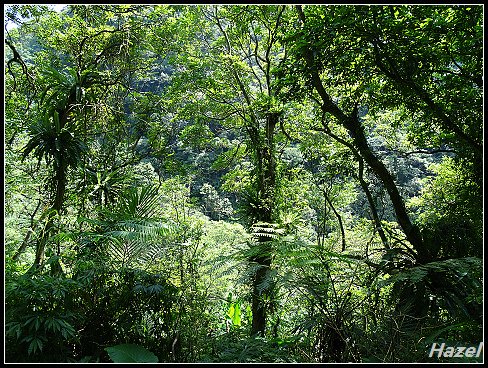 nEO_IMG_DSC01250.jpg - 20160729灣潭古道