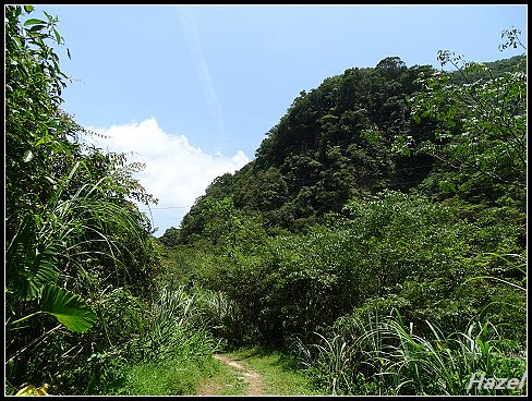 nEO_IMG_DSC01374.jpg - 20160729灣潭古道