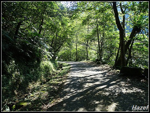 nEO_IMG_DSC01653.jpg - 20160729灣潭古道