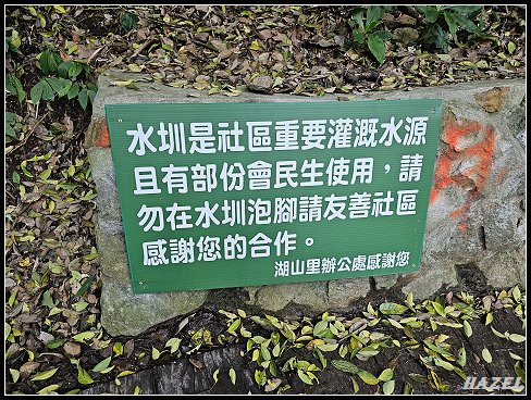 nEO_IMG_20230808_074705.jpg