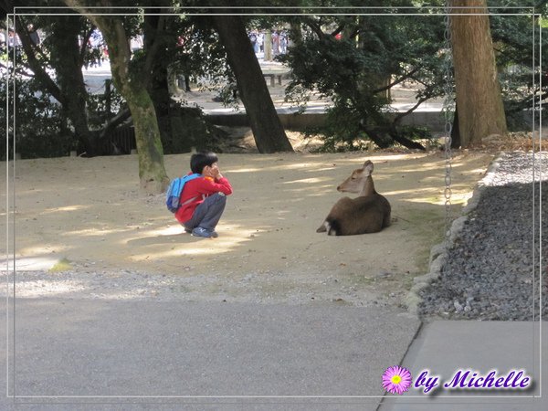 關西重遊