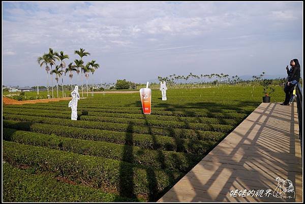 美麗的茶園