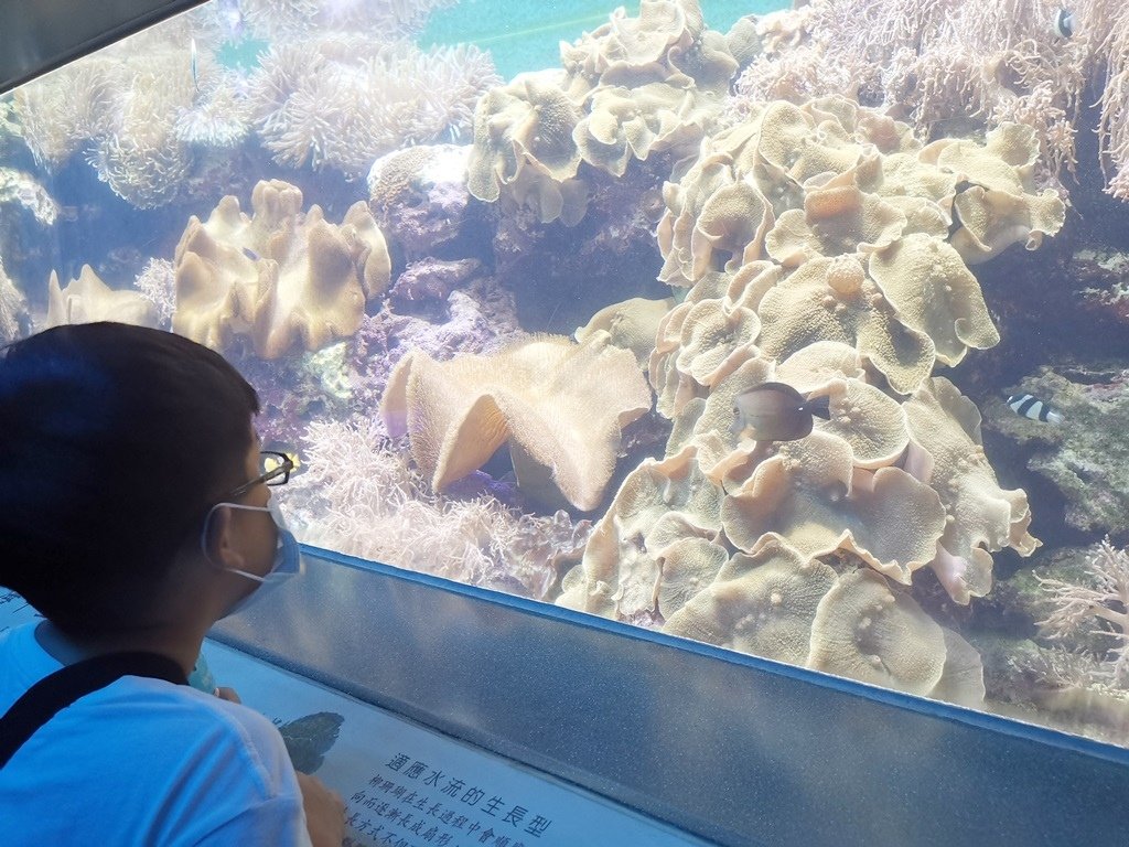 海生館34.jpg
