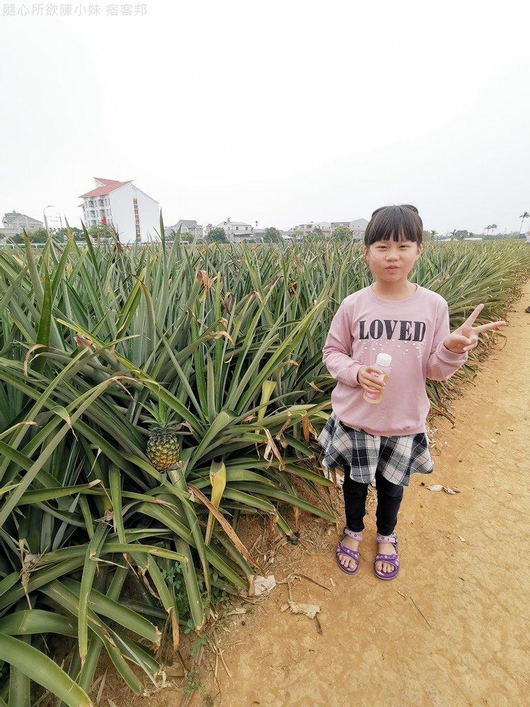 嘉義旺萊山36.jpg