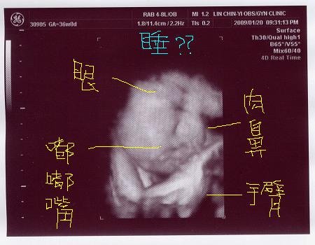 米力36D0D 真的在睡嗎.jpg