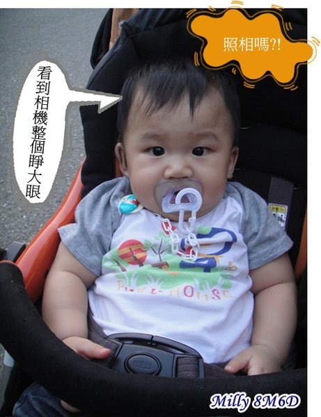 20091018新光三越成大榕園 007.jpg